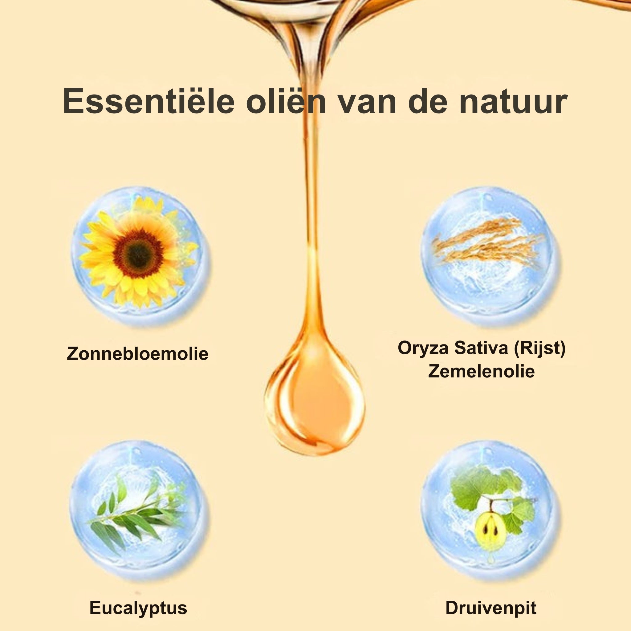 Zanzari - Anti Cellulite Massage Oil